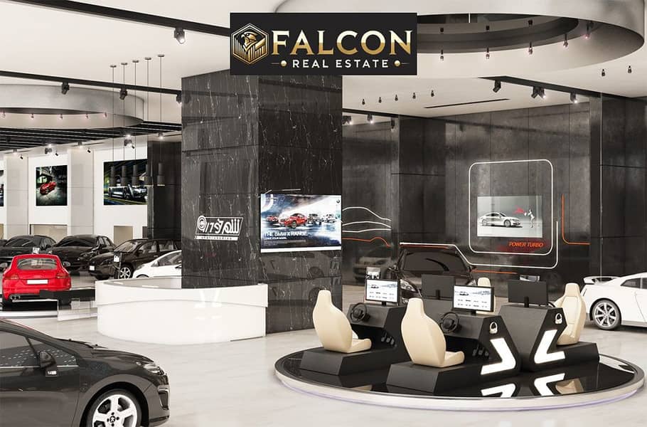 6 ec1a0d52937817.5922ad27c206c-1024x675. jpg