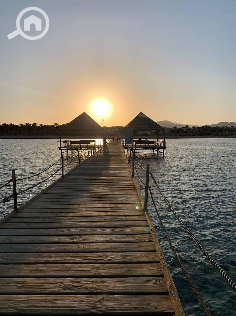 10 2f184a98-6ec6-429c-bf4d-5daba179c3ea. jpg