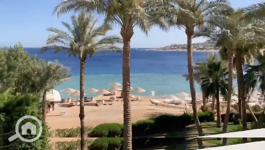 11 3d549070-cd84-423e-b60c-fdc884ba6ee8. jpg