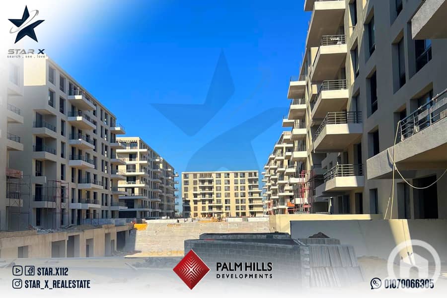 11 PALM HILLS ALEX ALL copy3. jpg