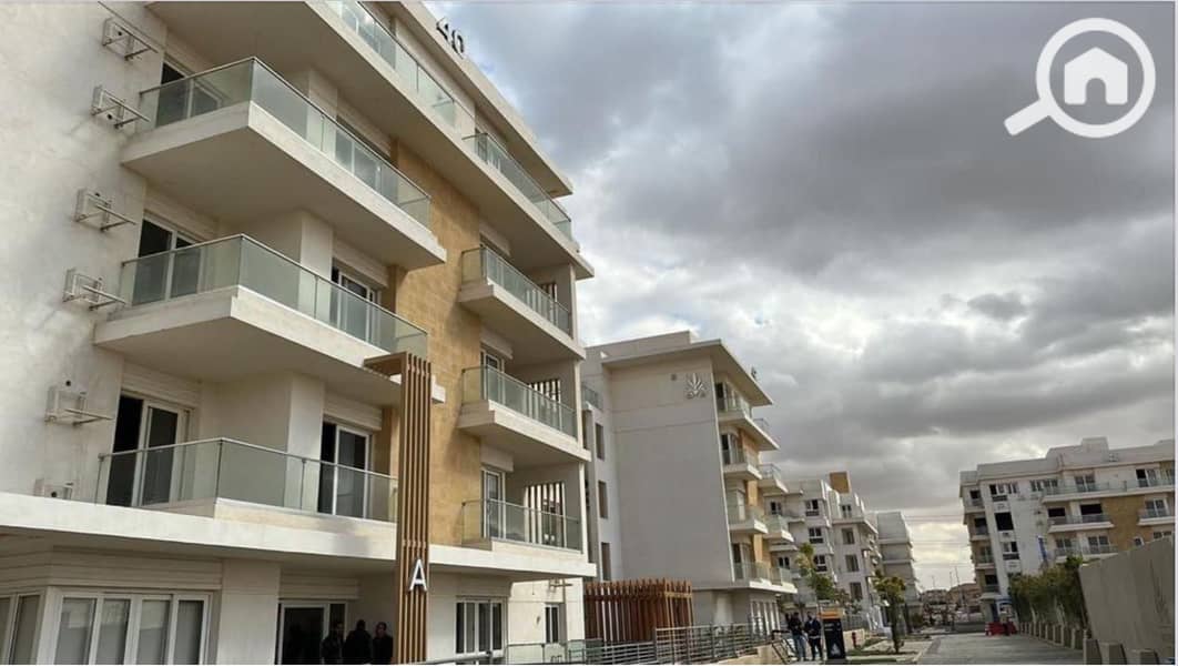 IMG_6903. jpeg IMG_6903. jpeg