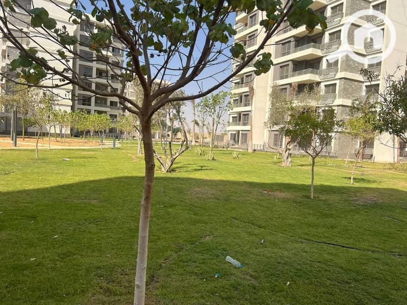 565129745_1123503719951431_323271410879444377_n. jpg