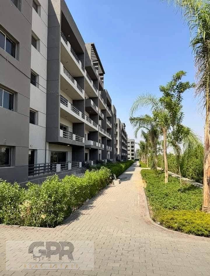 10 480964811_649672460764887_6446521289759157585_n. jpg