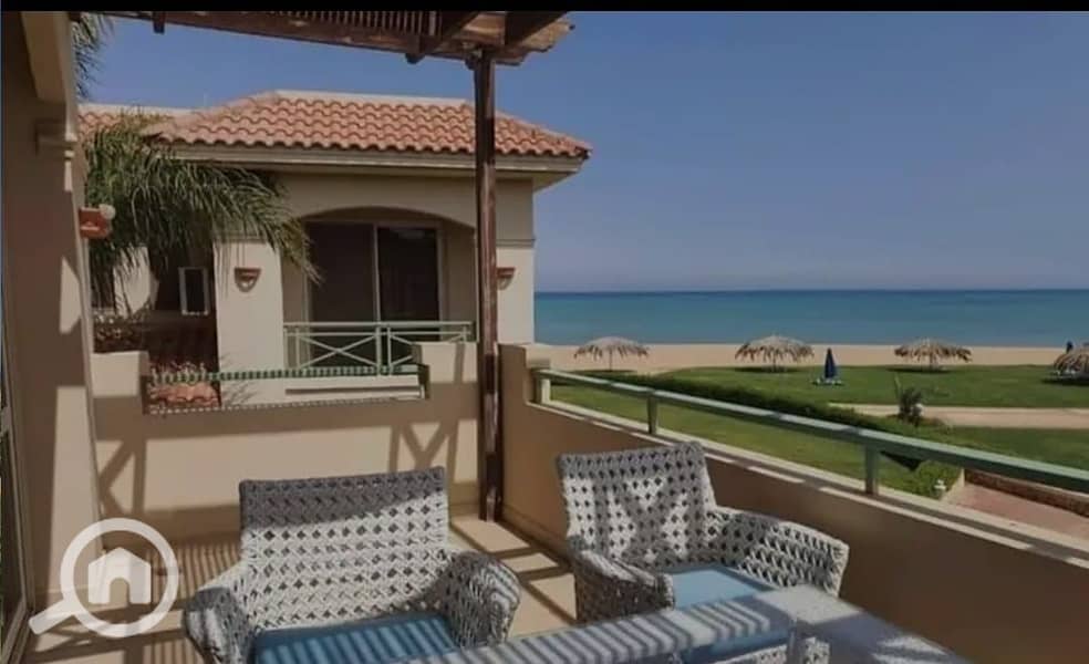 9 473979102_1315839503089329_384803903845910387_n. jpg