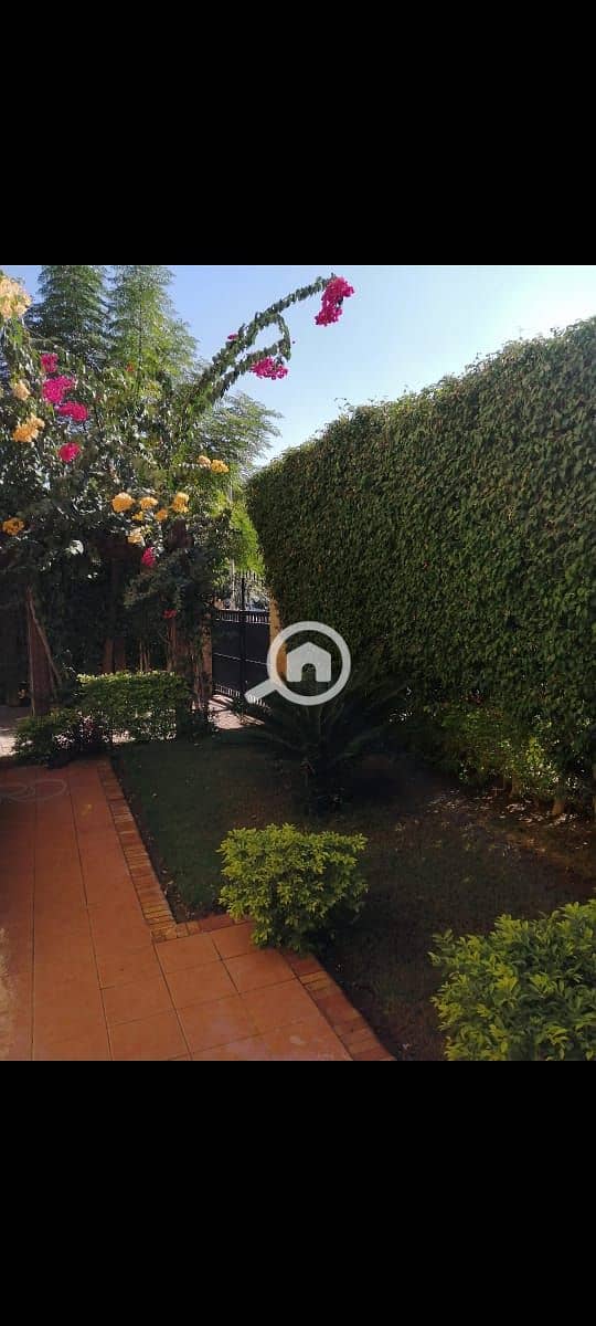 9 95e31357-ec6f-4abc-ae78-f5e1fe15138c. jpg