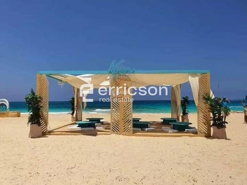 12 Untitled design (2). jpg