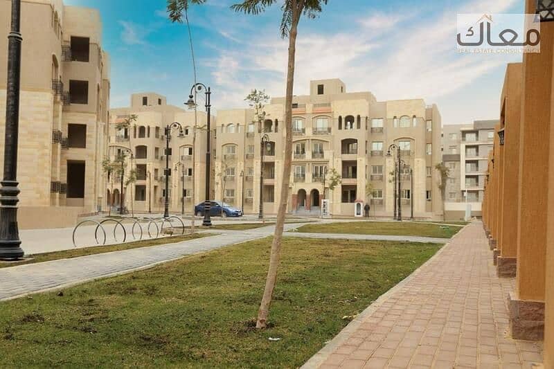 6 137bc8a8-3295-4199-9694-1eeb4d15b9f1. jpeg