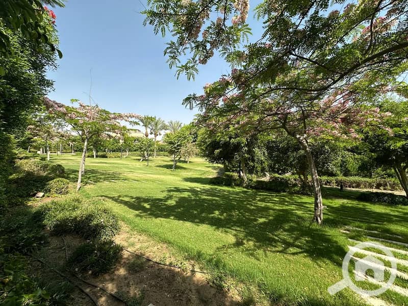 11 WhatsApp Image 2025-08-19 at 8.44. 13 AM. jpeg