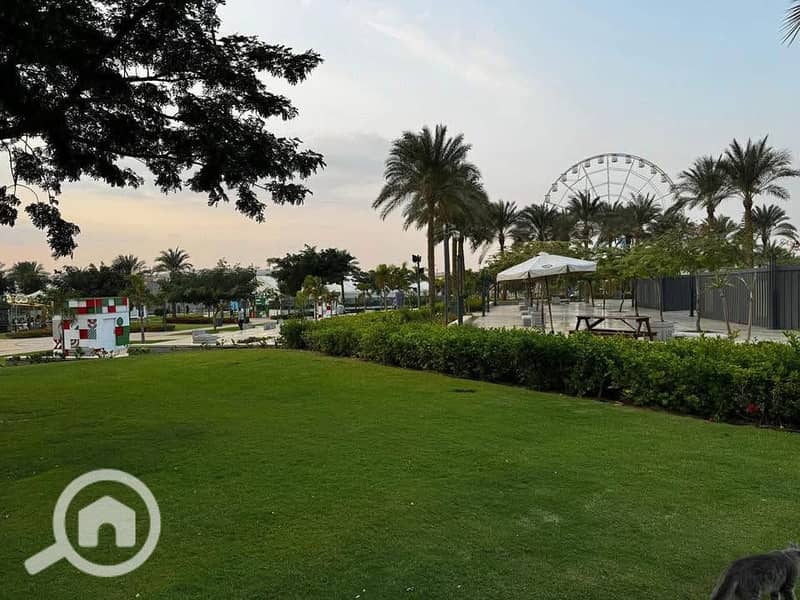 10 546478934_1434407101121671_4989028132439964457_n. jpg