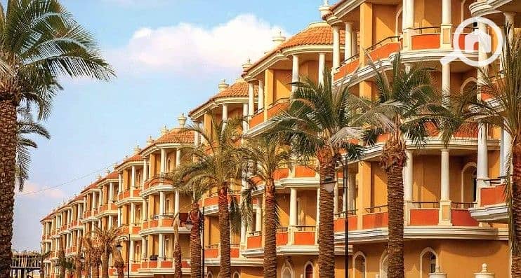 5 Screenshot 2025-09-09 121733. jpg