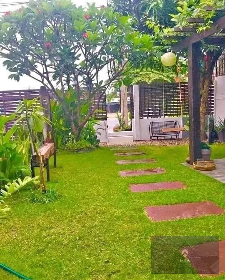 2 461031575_122133165482343017_1791280616494844649_n. jpg