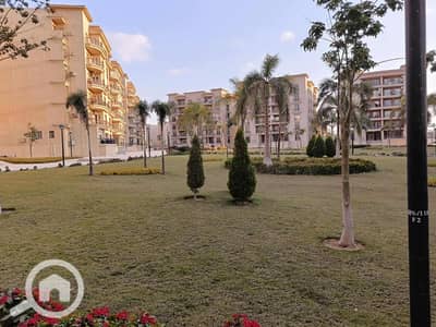 فلیٹ 3 غرف نوم للايجار في القاهرة الجديدة، القاهرة - da1dda77-3dc8-474b-94b3-5bd3f906b1fa. jpg