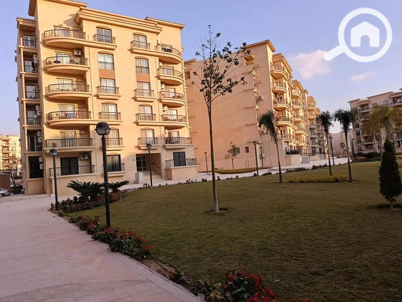 4 05ec9ad2-fe35-4d62-badf-1c183d2c5393. jpg