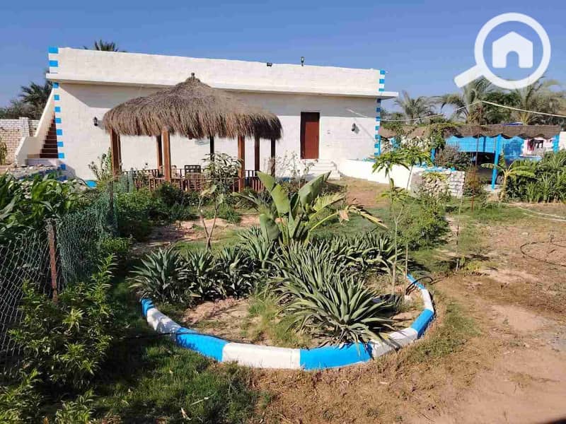 1000213171. jpg 1000213171. jpg