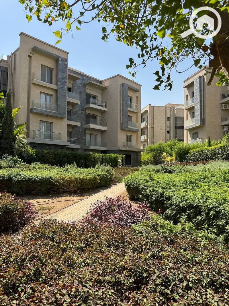 6 photo_2025-07-17_18-58-17. jpg