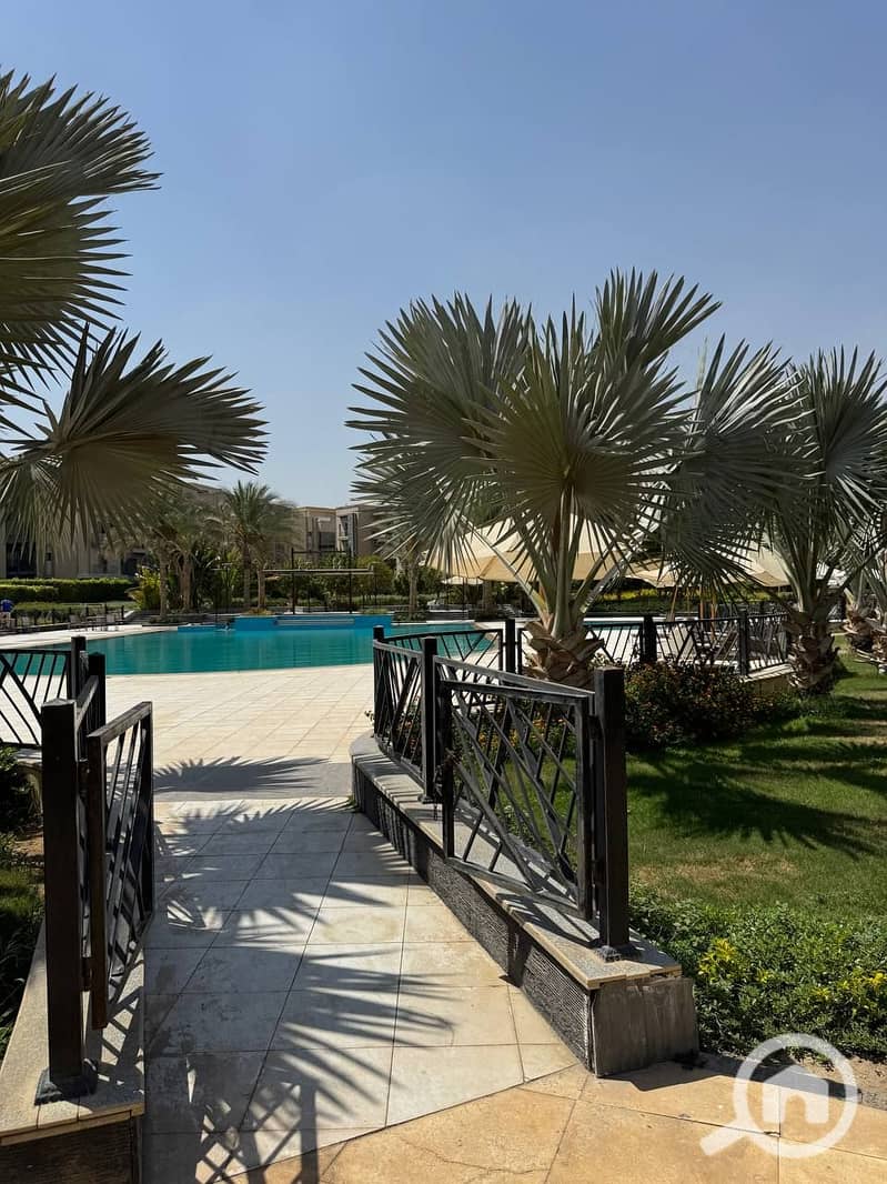 8 photo_2025-07-17_18-58-32. jpg