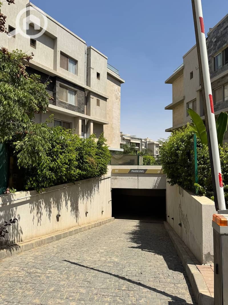 10 photo_2025-07-17_19-00-04. jpg