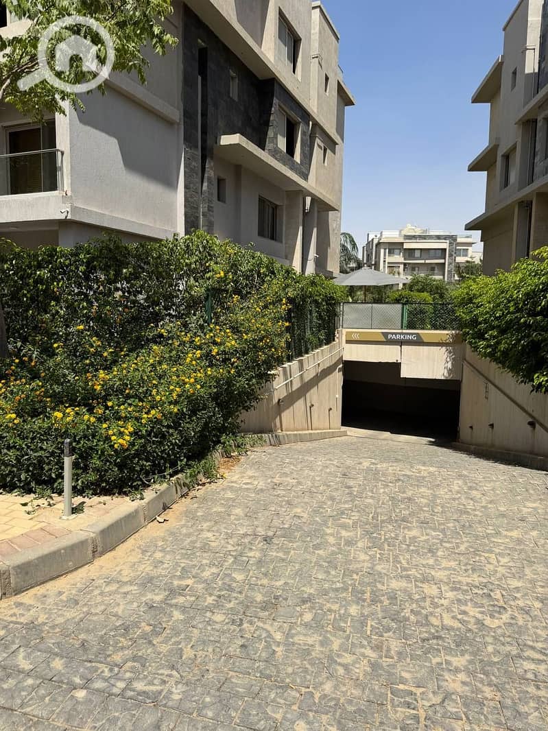 4 photo_2025-07-17_18-59-54. jpg