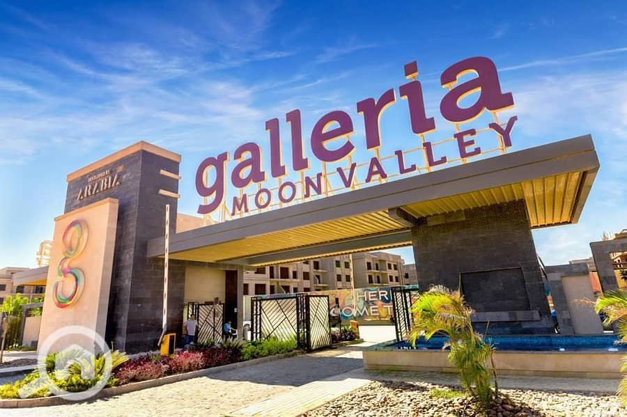 10 photo_2025-03-12_19-14-54 (4). jpg