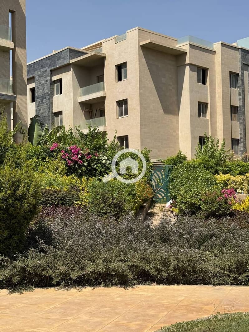 5 photo_2025-07-17_18-58-25. jpg