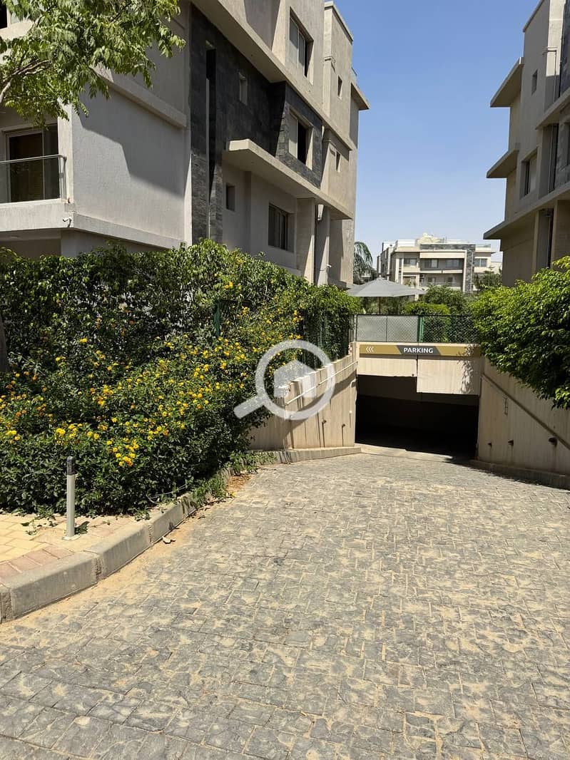 10 photo_2025-07-17_18-59-54. jpg