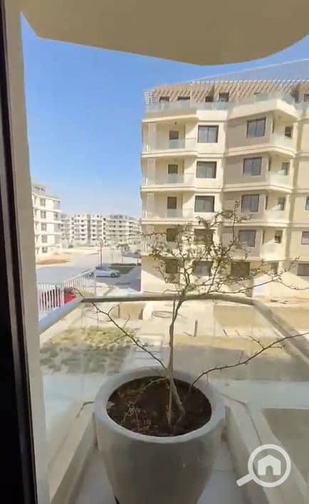 15 3b12ca50fe2240b0ac9f2f566abf0780. jpg