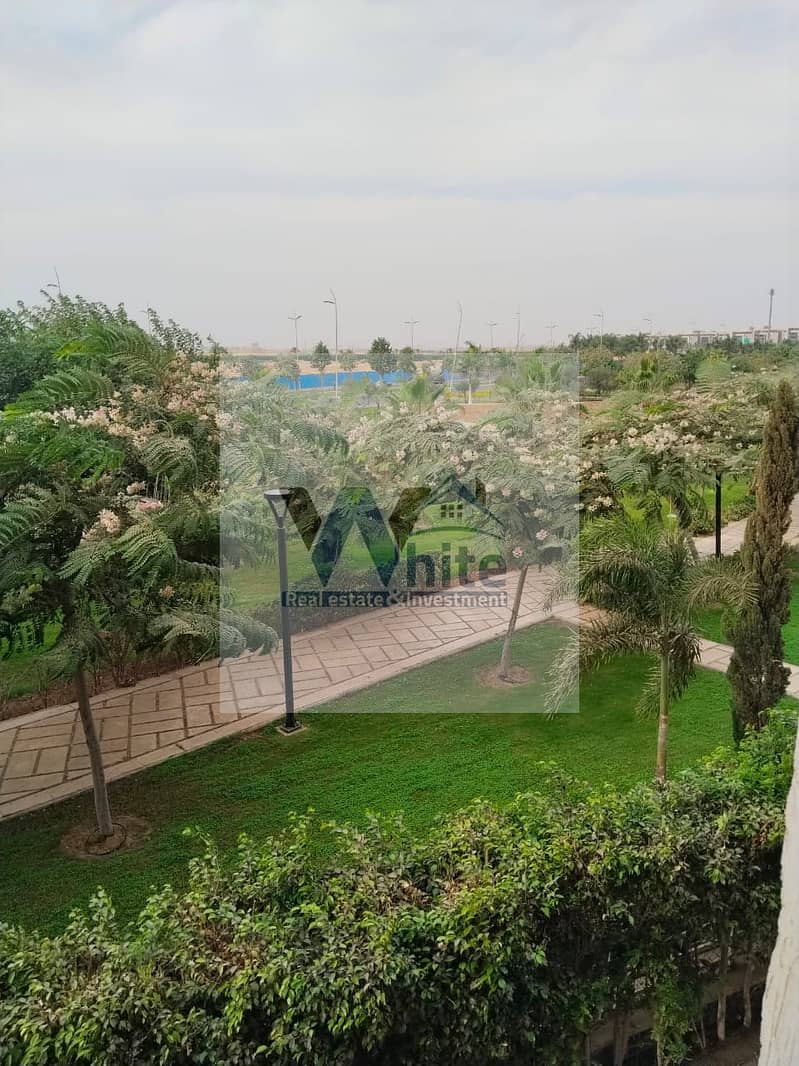 3 573504559_122212588472313916_4450214741903062015_n. jpg