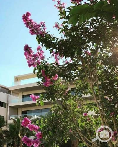 شقة 3 غرف نوم للايجار في القاهرة الجديدة، القاهرة - fdxzf. PNG