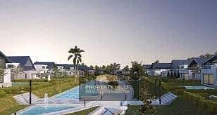 3 download (2). jpeg