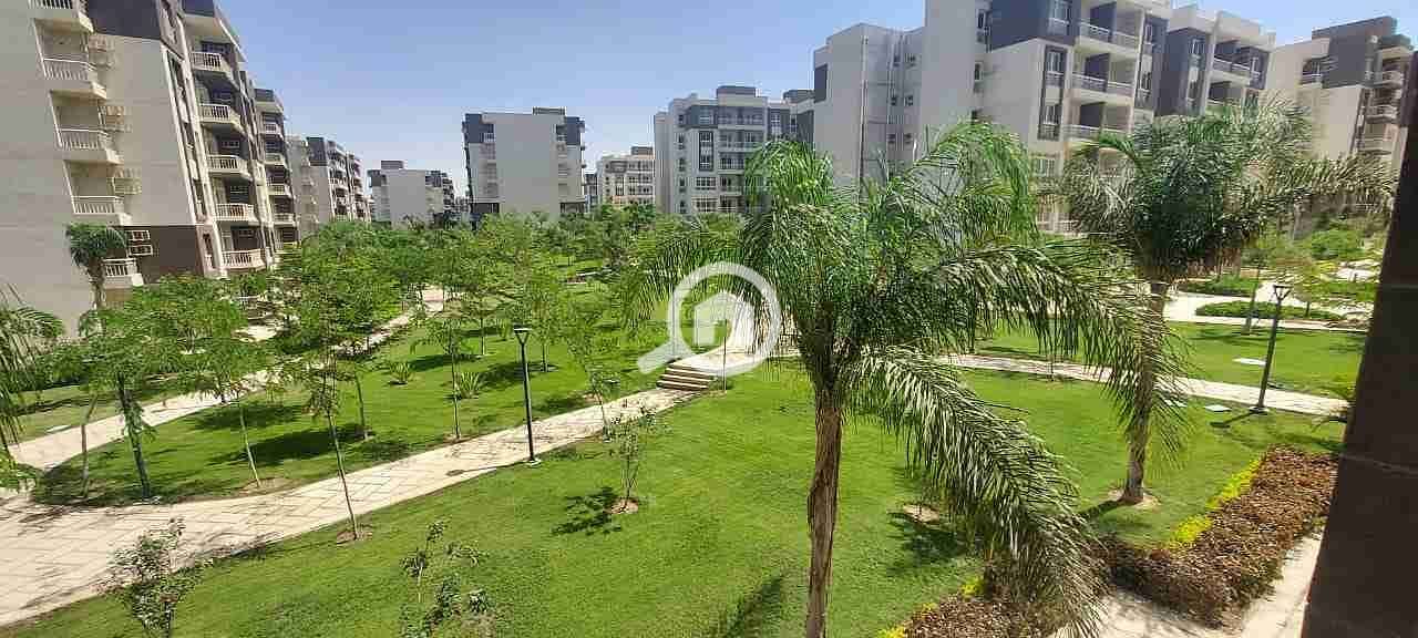 1000563068. jpg 1000563068. jpg