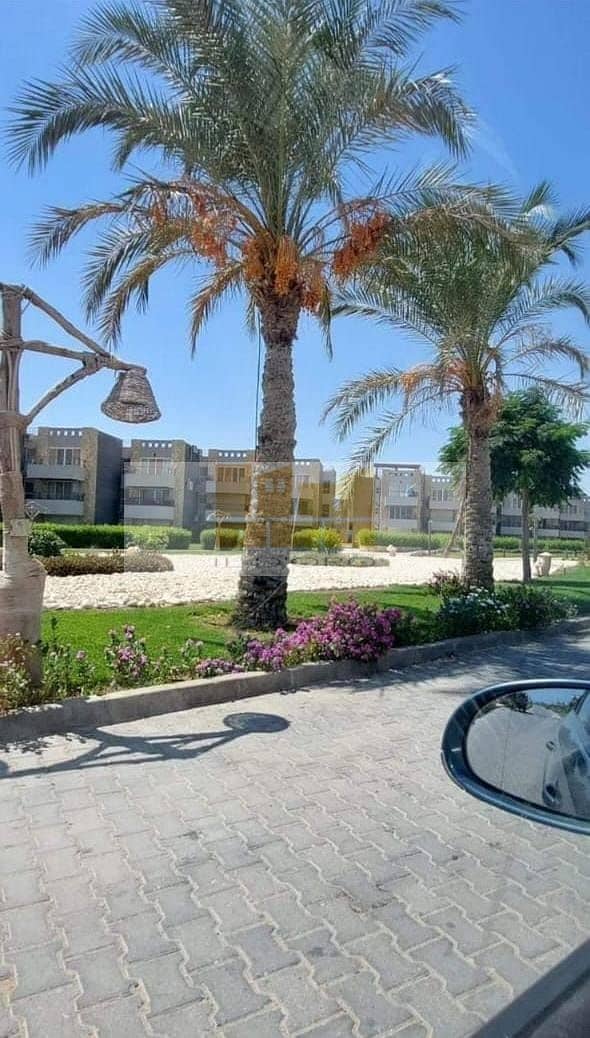 3 WhatsApp Image 2025-11-24 at 1.57. 15 PM (2). jpeg