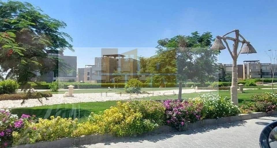 4 WhatsApp Image 2025-11-24 at 1.57. 15 PM (1). jpeg