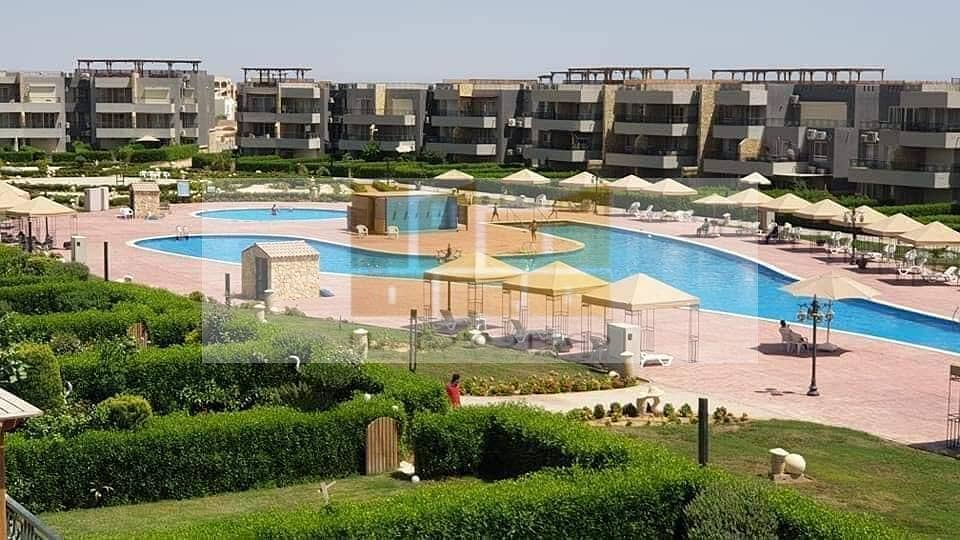 9 WhatsApp Image 2025-11-24 at 1.57. 14 PM. jpeg