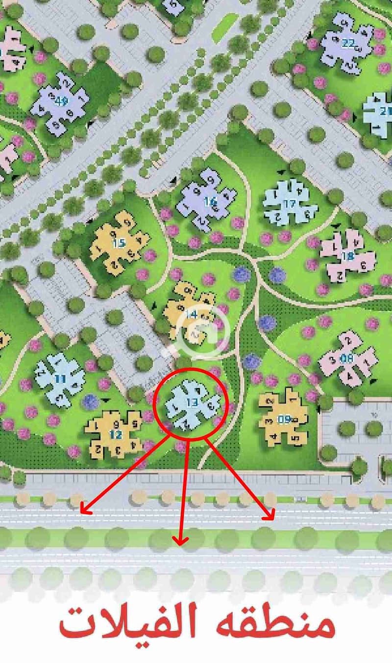 1000207488. jpg 1000207488. jpg