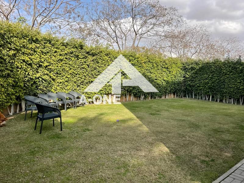 2 41f83f81-21d2-472a-a3cc-9b2aa8c9bf98. jpeg