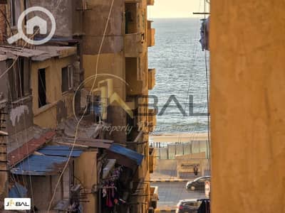 فلیٹ 3 غرف نوم للايجار في الإبراهيمية، الإسكندرية - WhatsApp Image 2025-08-27 at 12.59. 41 PM. jpeg