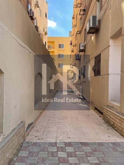 فلیٹ 3 غرف نوم للايجار في القاهرة الجديدة، القاهرة - WhatsApp Image 2025-11-20 at 3.13. 24 PM. jpeg