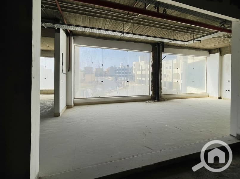 6 Generated Image September 10, 2025 - 2_52PM. png