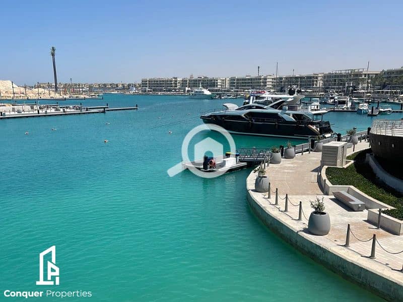 6 Untitled design - 2023-07-26T150559.910 - Copy. png