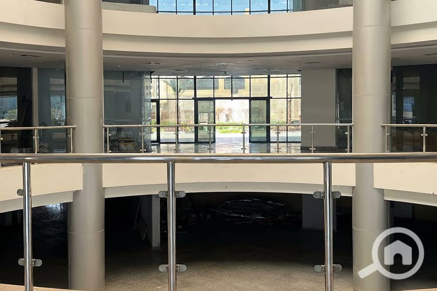 8 Generated Image September 23, 2025 - 1_55PM. png