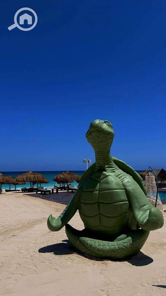 6 530526848_1081573254098752_6828693962030476887_n. jpg