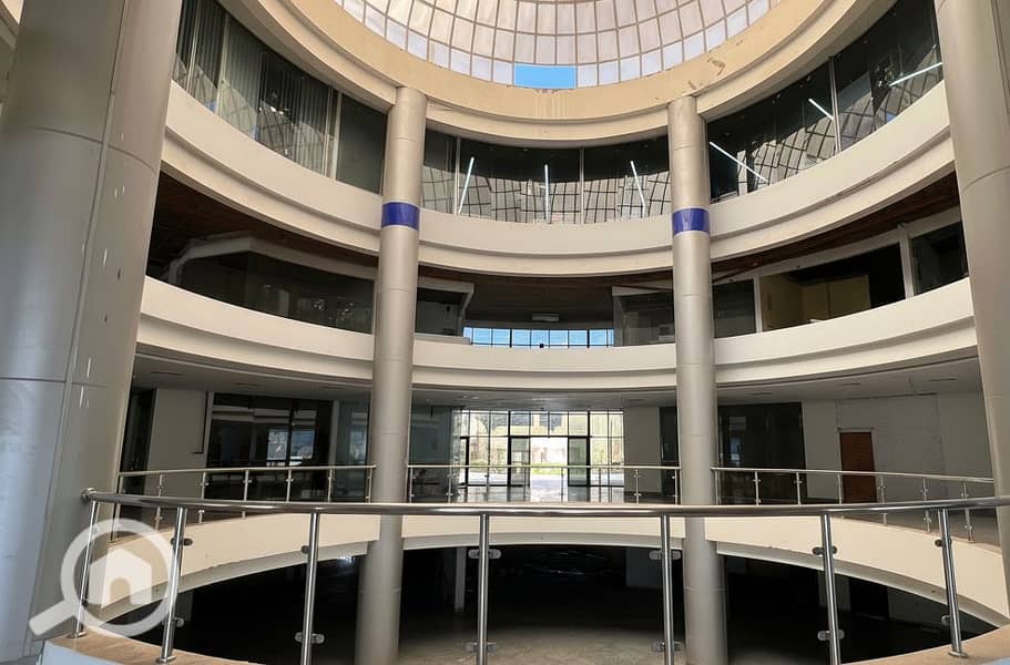 8 Generated Image September 23, 2025 - 2_06PM. png