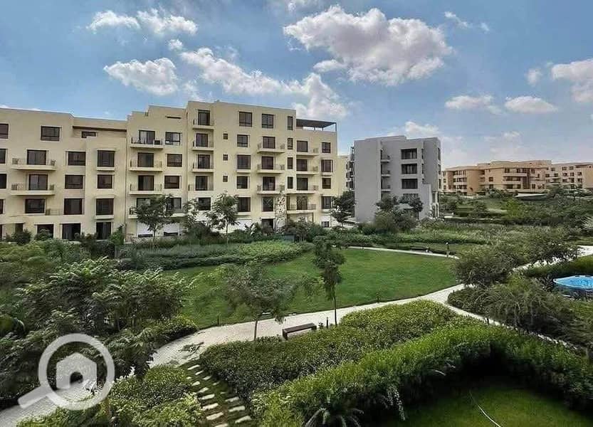 6 583347142_1336005618072738_5906828635891515135_n. jpg