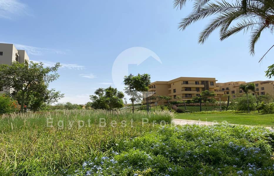 3 WhatsApp Image 2024-09-11 at 3.13. 58 PM. jpeg