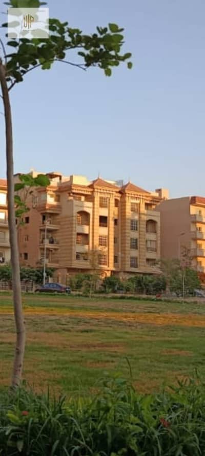 3 Bedroom Apartment for Sale in New Cairo, Cairo - WhatsApp Image 2025-11-12 at 14.10. 11_f8ea9a52. jpg