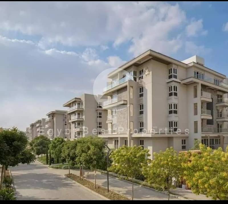 8 WhatsApp_Image_2024-12-31_at_19.05. 38_4d09b5c9. jpg