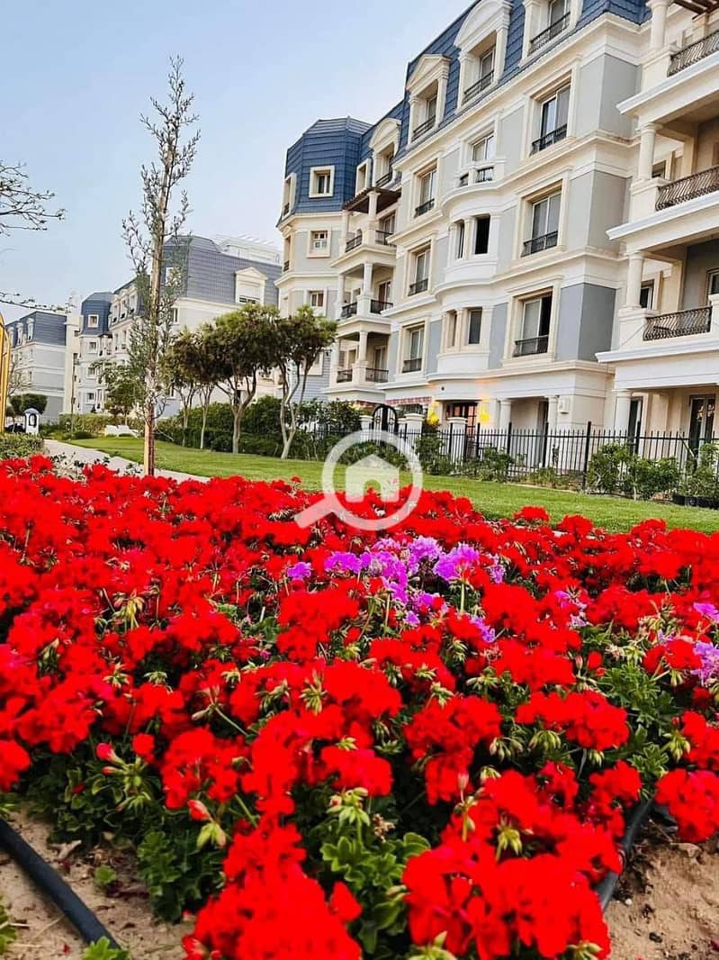 4 WhatsApp Image 2025-10-15 at 4.00. 10 PM. jpeg