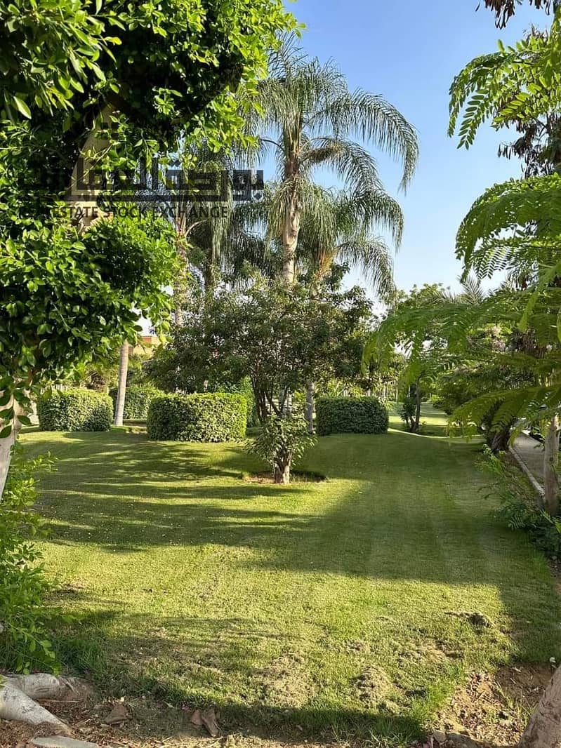 20 589257656_1283206090339293_6765128313783827129_n. jpg