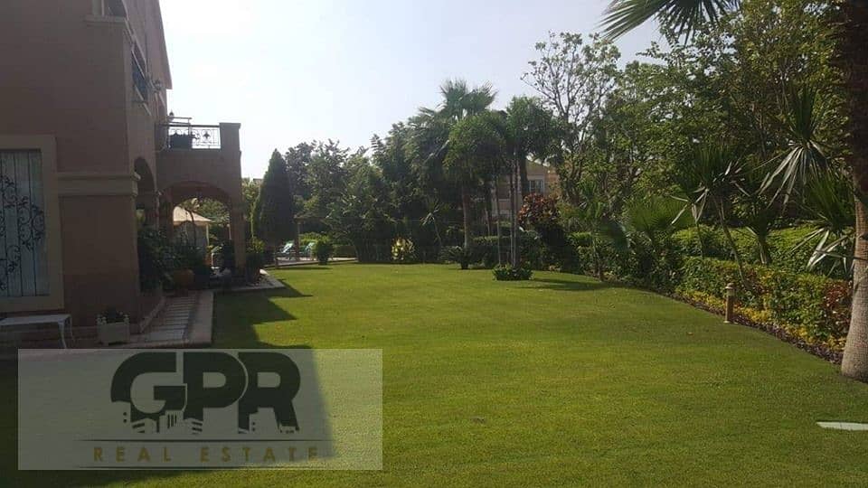 11 118085640_328232934970269_7231423642037185005_n. jpg