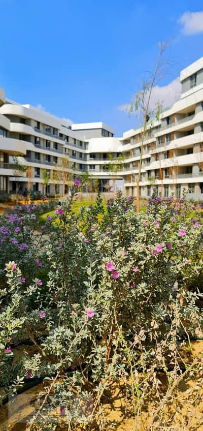 3 Bedroom Flat for Sale in Mostakbal City, Cairo - 9d853c46-da02-408f-963a-5d413151be5c. jpg